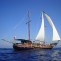 Yoga & SUP Sailing Gulet  Adventure 
