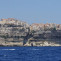 Sailing Charter in Sardinia 14 days Cruise