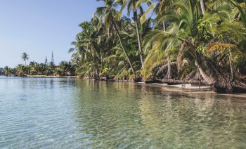 Crystal clear waters await you in San Blas Paradise