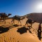 Sail and Desert Experience in Tunisia