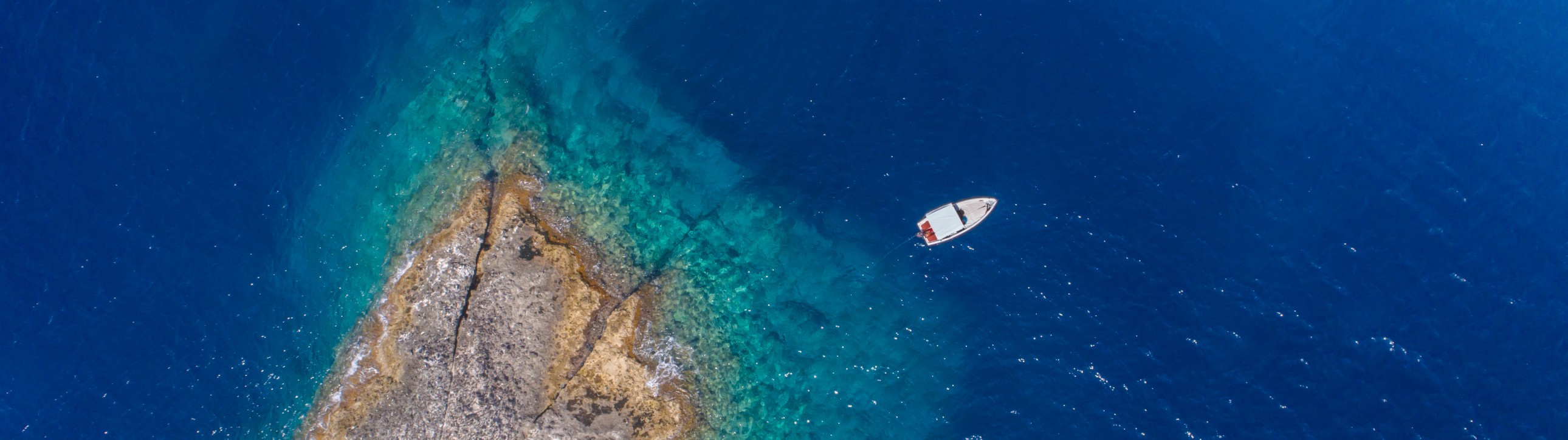 Catamaran sailing Tour in Pontine Islands from Procida - cover photo