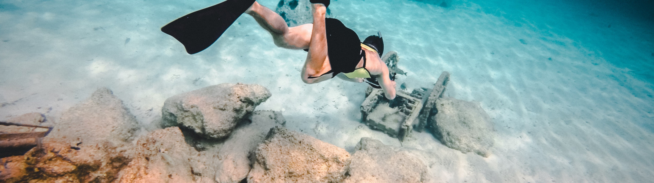 Cabin Charter Bahamas - cover photo