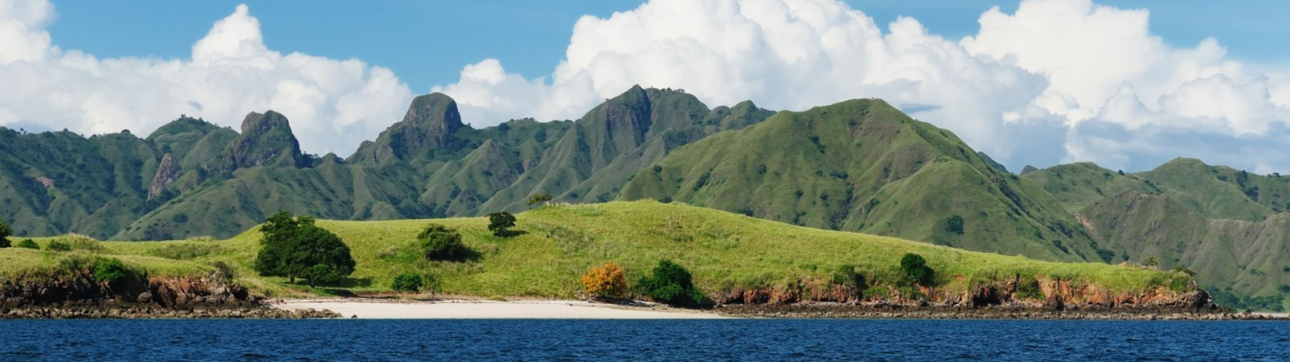 Komodo National Park sailing experience - cover photo