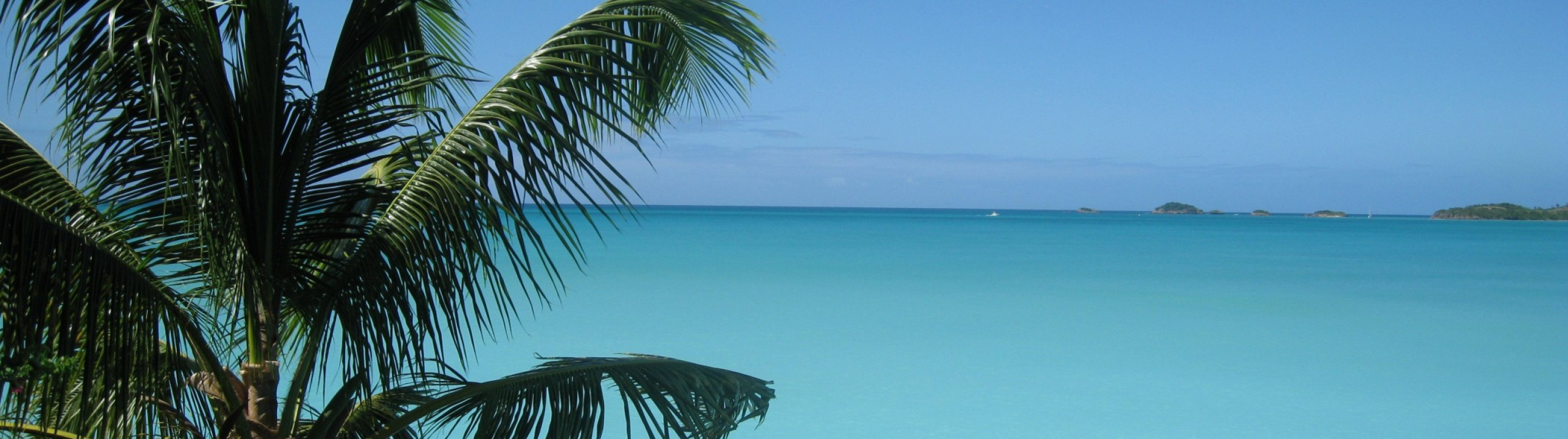 Guadalupe, Antigua and Barbuda New Year's Eve Cruise - cover photo