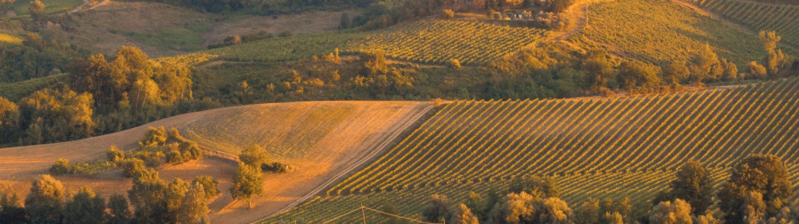 Italian Delight Trip - cover photo