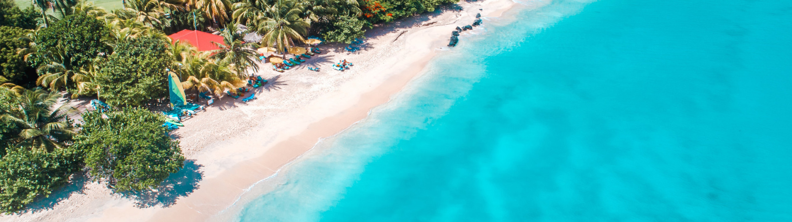 Martinique Grenadines New Year - cover photo