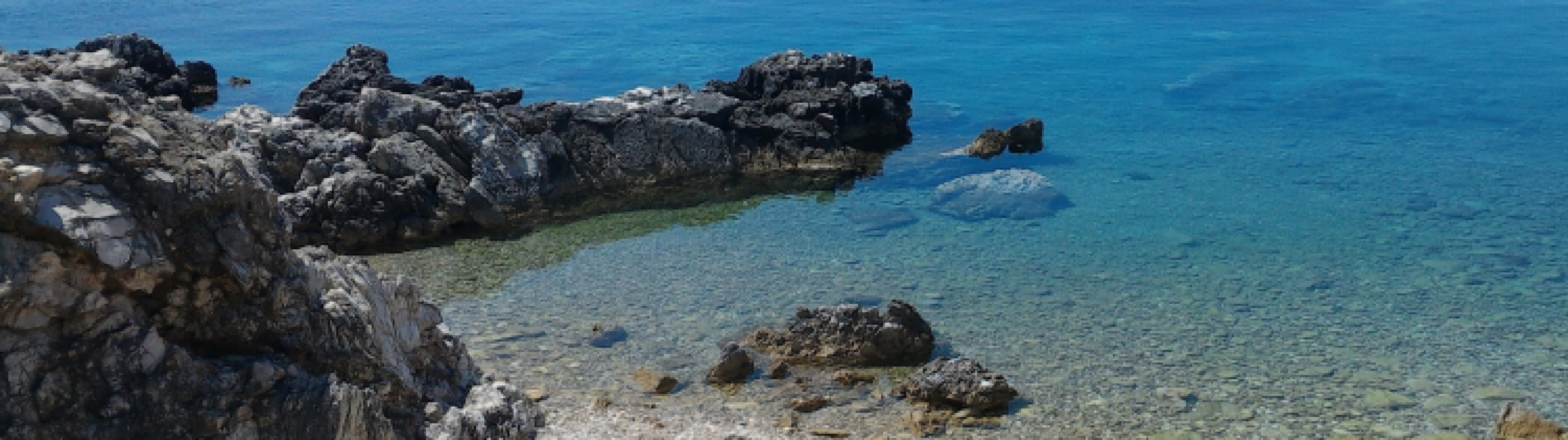 The Ultimate Free Diving Trip - cover photo