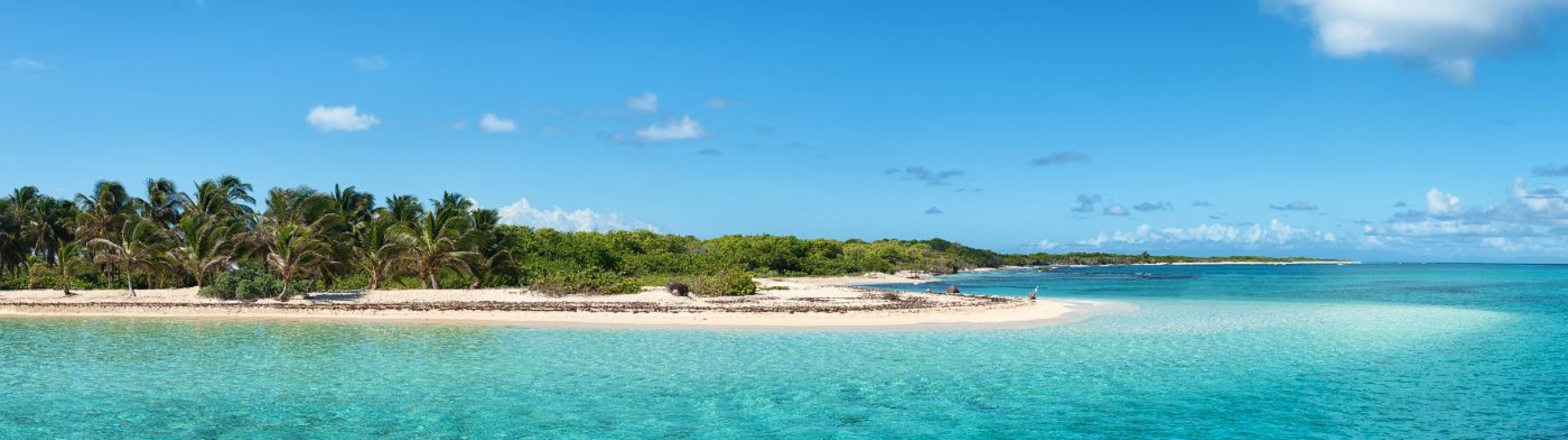 Guadeloupe Deluxe Catamaran Cruise - cover photo