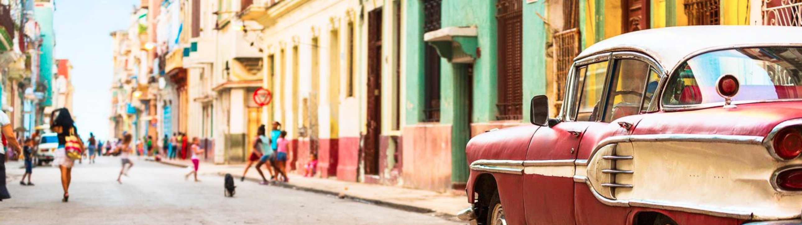 Caribbean Sailing Vacation Special Land and Sea Tour - cover photo