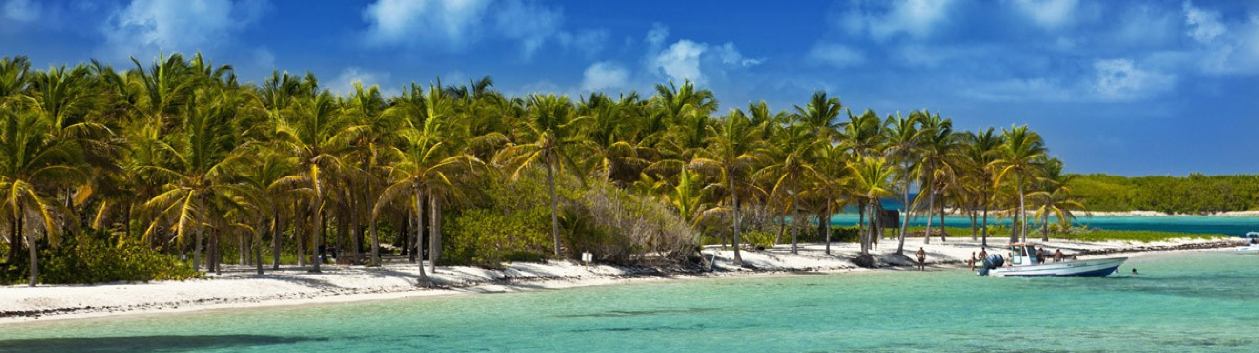 Sailing Cruise Exploring Guadalupe - cover photo