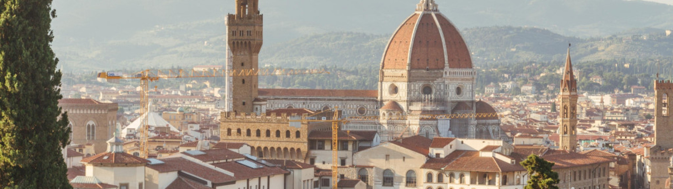 Fun and friends sailing trip in Elba - cover photo