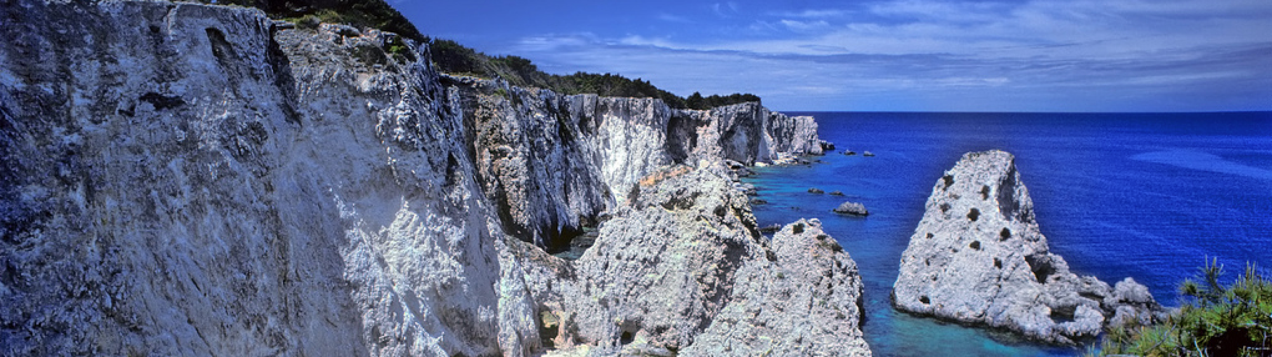 Biodanza in Caicco alle Isole Tremiti - cover photo