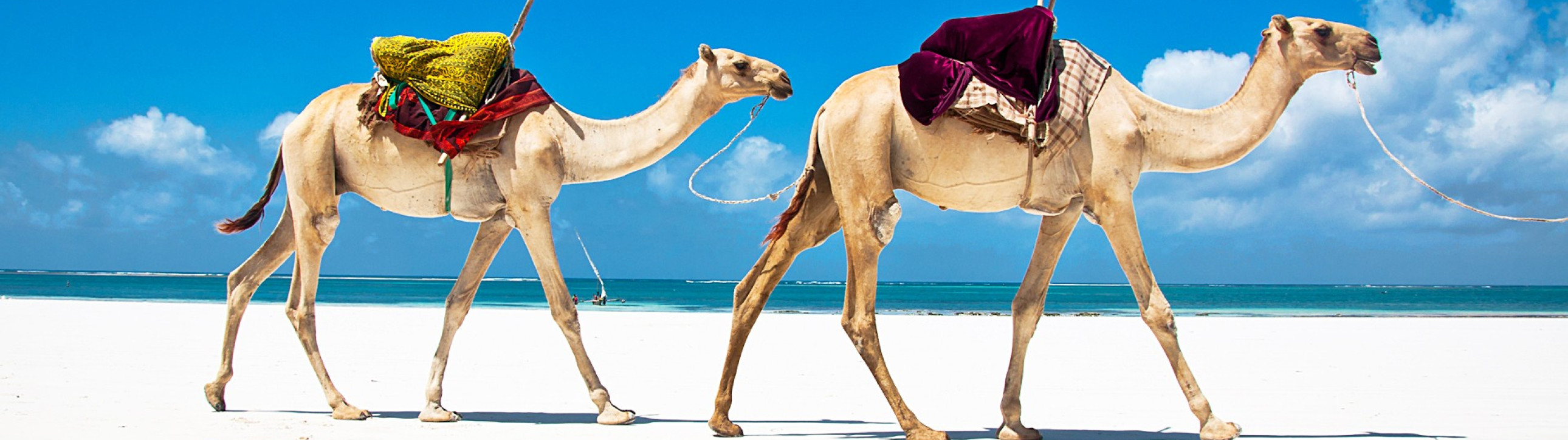 A nice adventure - cover photo