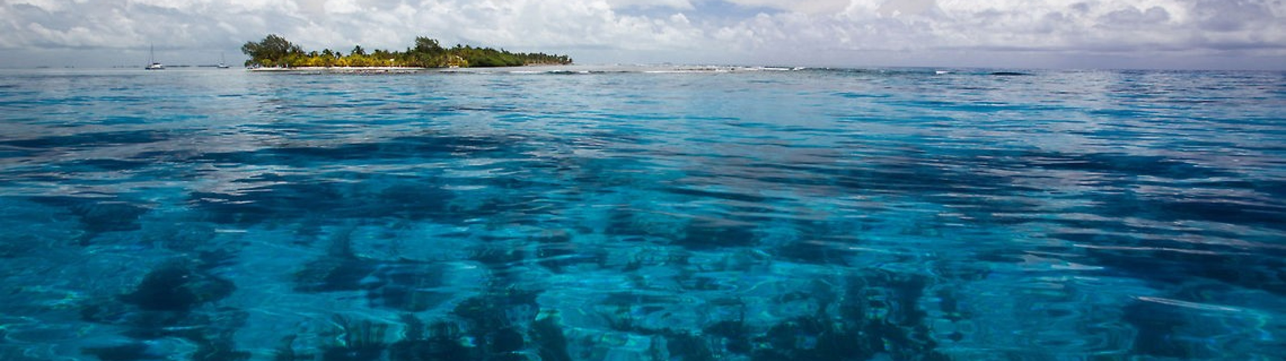 Learn to Sail in Belize - cover photo