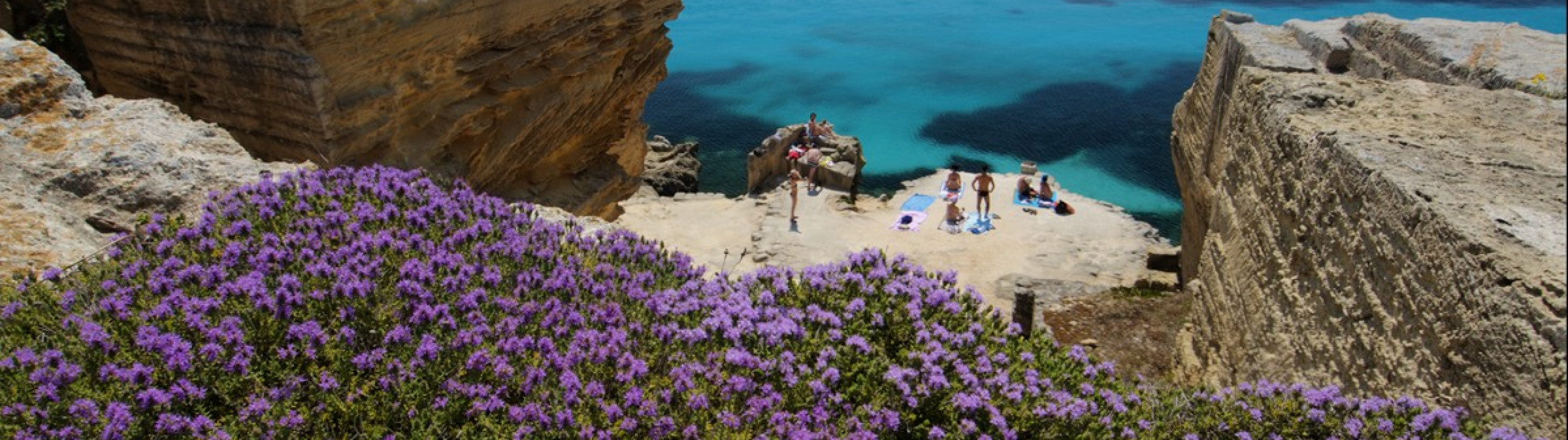 Gulet Sailing Cruise in Aegadian Islands - cover photo