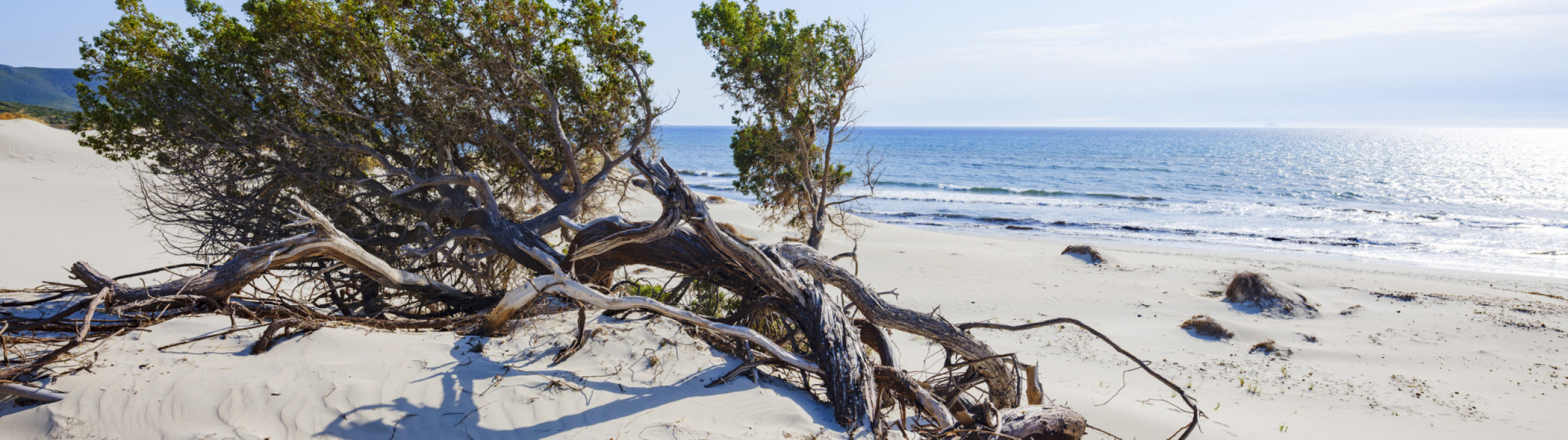 Sailing Cruise in South Sardinia - cover photo