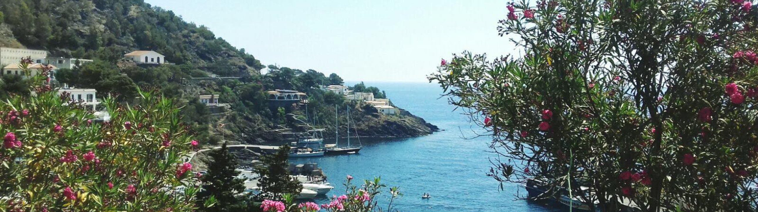 Aeolian sailing as an insider - cover photo