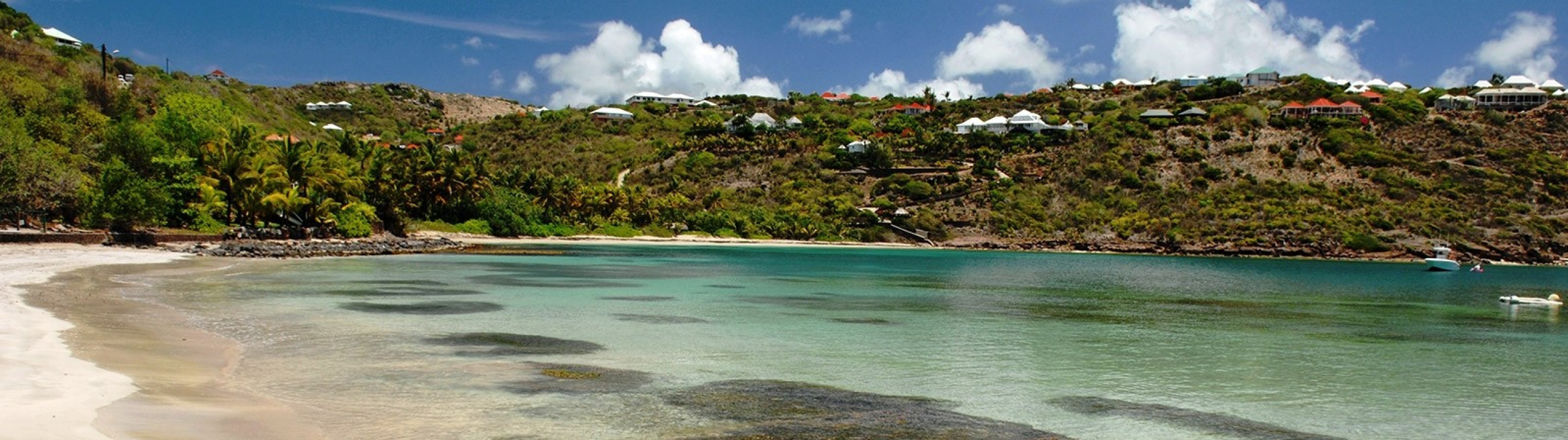 New Year’s in the Caribbean! - cover photo