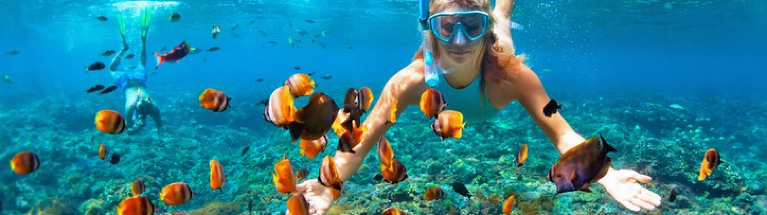 Crystal clear waters await you in San Blas Paradise - cover photo