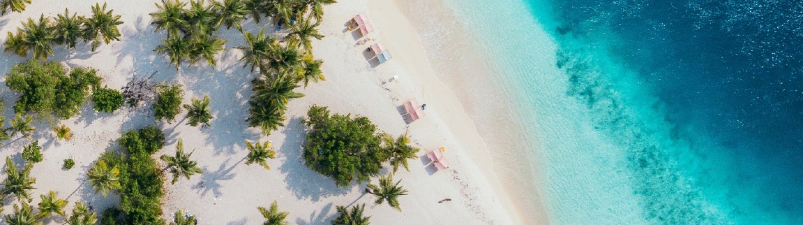 Sailing Experience in Belize - cover photo