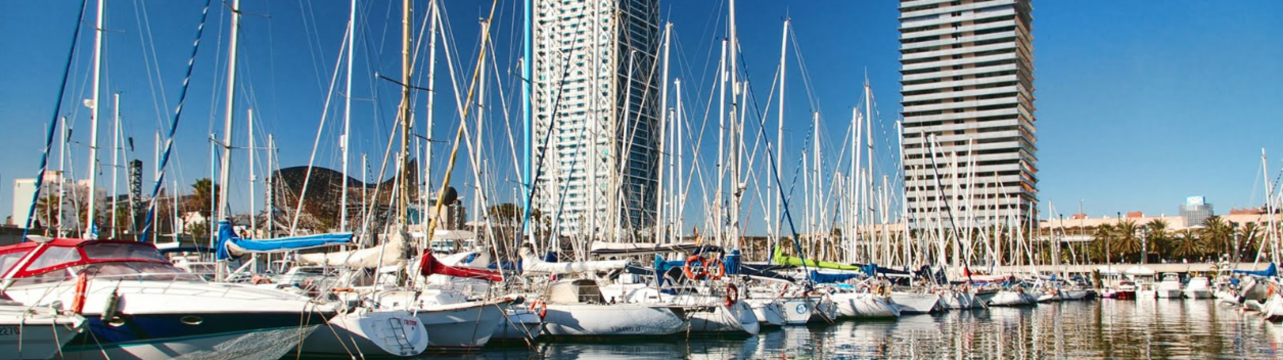 Affordable Sailing trip in Barcelona - cover photo