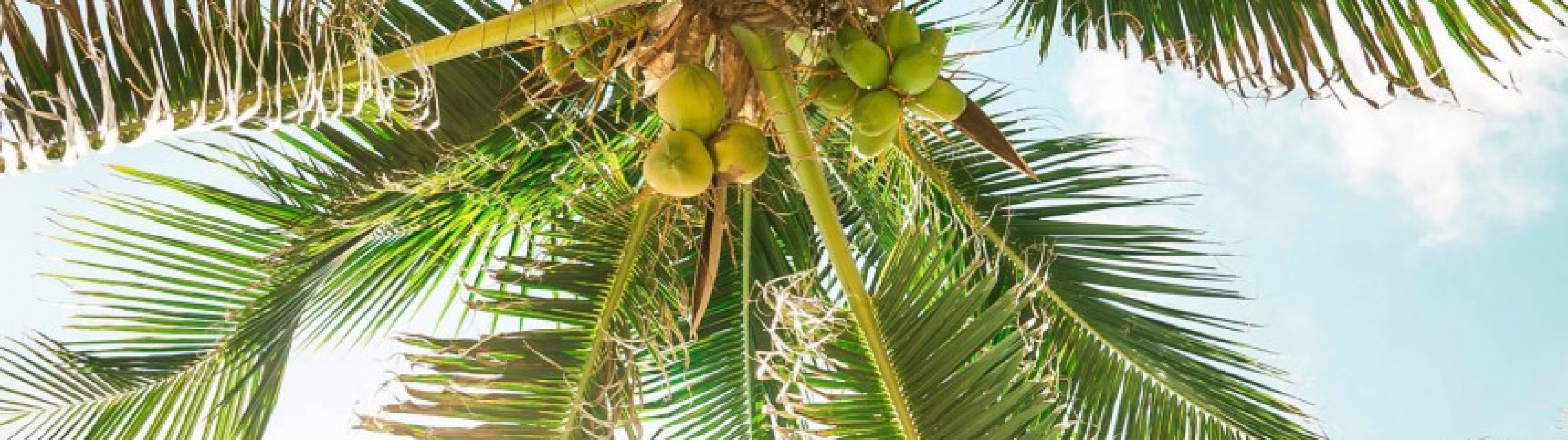 Mexico Sailing Trip From Cancun - cover photo