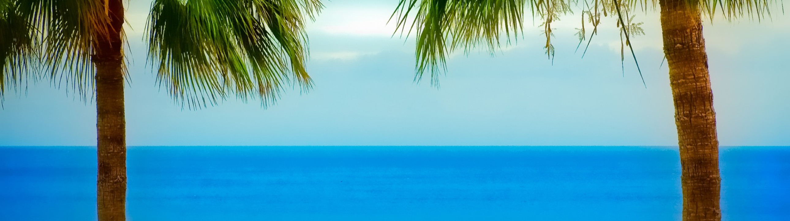 Canaries Legendary Yacht Tour - cover photo