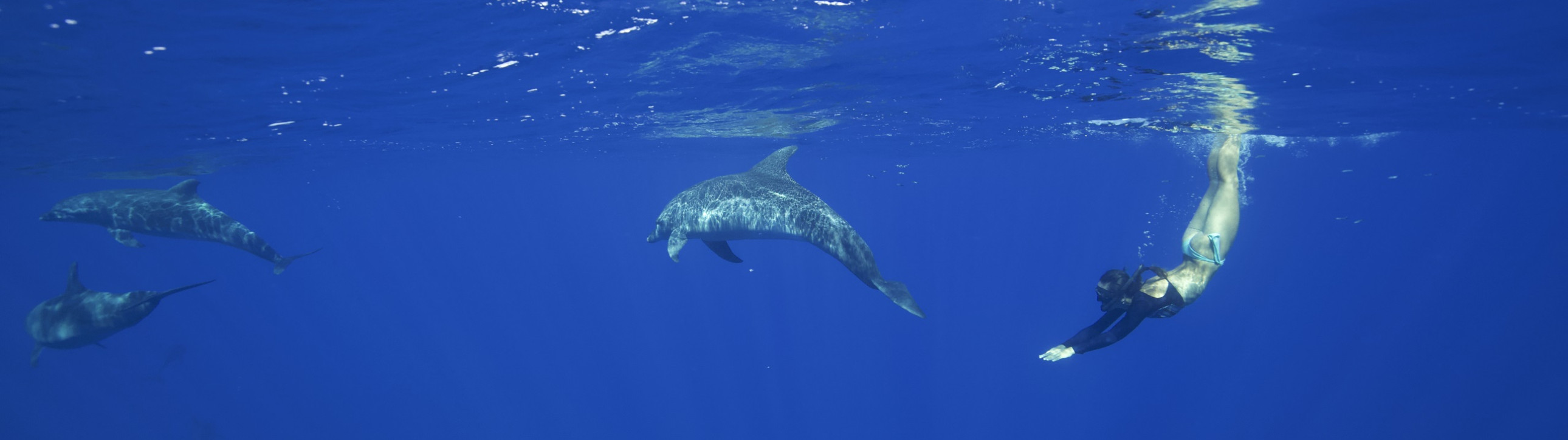 Private Crewed Sailtrip in Tahiti and Moorea - cover photo