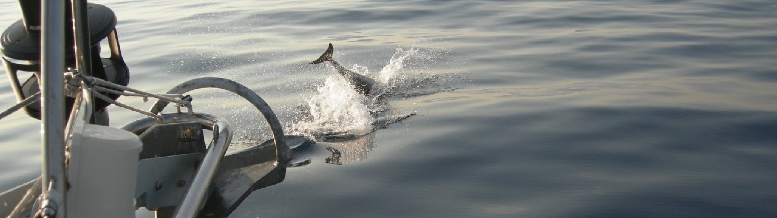 Sailing Cruise Western Cyclades from Paros - cover photo