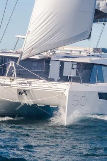 Leopard 50  image 2