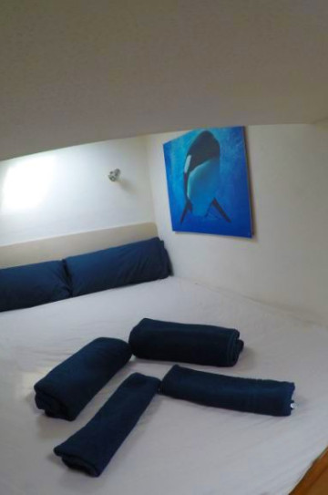 Privilege 42' image 7