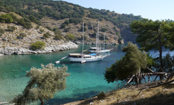 Patanjali Yoga Gulet Cruises