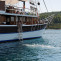 7 Day Croatia Gulet Cruise from Makarska through Brac Hvar Vis and Korcula