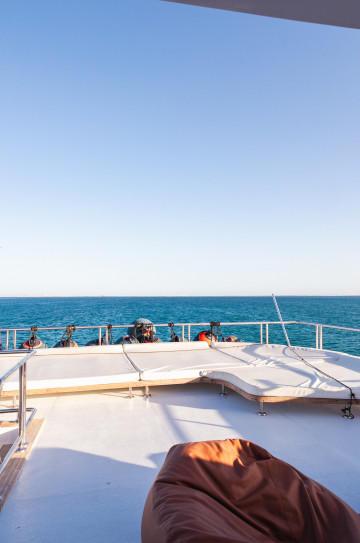 Motor Yacht Model 2023 image 4