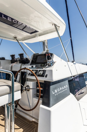 Leopard 50 image 2