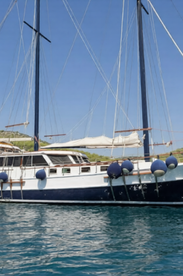 Gardelin Gulet image 2