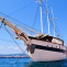 Brigantine sailing trip in Naples