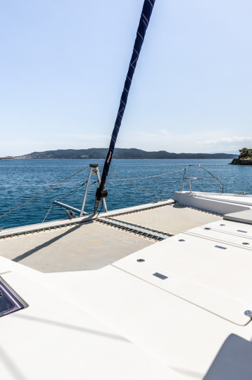 Leopard 50 image 3