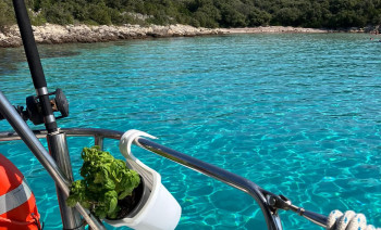 Cabin Charter Sailingweek around Split's islands with skipper and hostess-chef