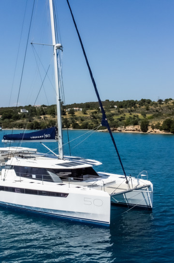 Leopard 50 image 1