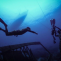 The Ultimate Free Diving Trip