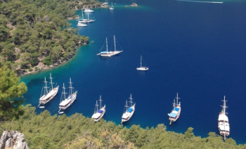 Yoga & Ayurveda Cruise with Amanda