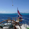 Christmas Sailing Cruise in Caribbean