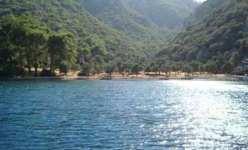 Turkish Islands Cabin Charter - covid-19 insured