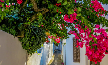 Sailing Holiday: Discover the Aeolian Islands like a local 