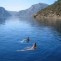 Turkish Islands Cabin Charter - covid-19 insured