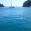 Explore the Enchanting Cilento Coast: Sailing from Salerno