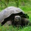 Galapagos Expedition, a Paradise Awaiting Your Discovery