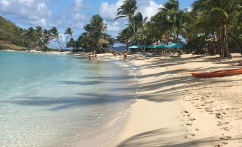 New Year's Eve Catamaran Sailing Flotilla in the Caribbean: Martinique, Saint Lucia, Grenadines & Tobago Cays