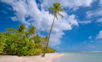 New Year’s Eve Sailing in the Caribbean: 10-Day Catamaran Cruise from Guadeloupe to Antigua